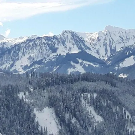 Haus Durchegg Og Apartmán Wagrain